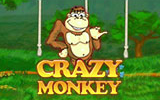 Игровой автомат Crazy Monkey, Обезьянки в интернет казино Вулкан