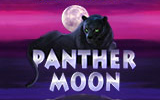 Игровой автомат Panther Moon в онлайн казино без регистрации