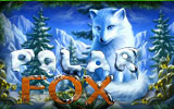 Игровой слот Полярная Лиса, Polar Fox на реальные деньги
